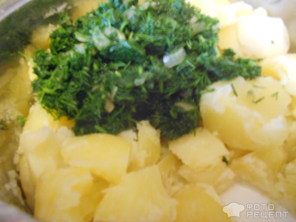Картофельное пюре со шпинатом и укропом фото