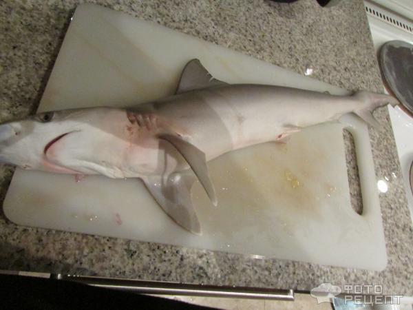 Лингвини с акулой под соусом Болоньезе фото