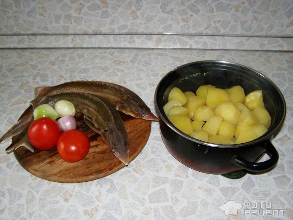 Стерлядь, запеченная с картофелем