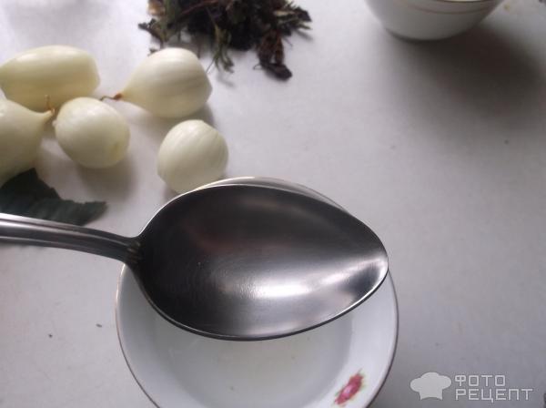 Сочный шашлык из свинины фото