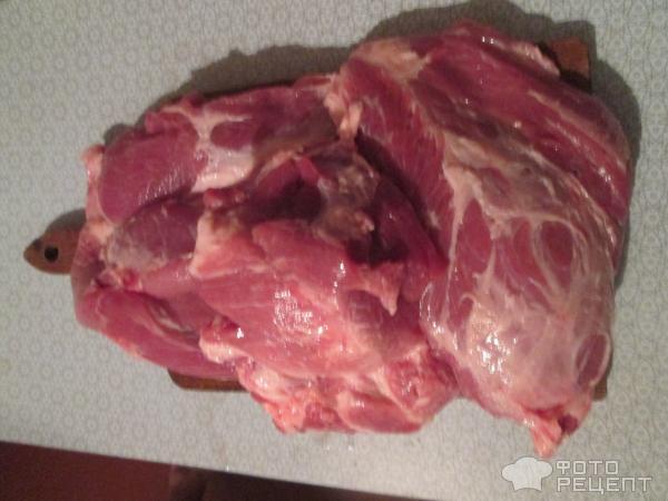Сочный шашлык из свинины фото