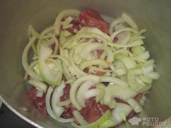 Сочный шашлык из свинины фото