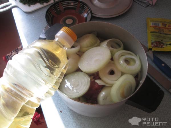Сочный шашлык из свинины фото