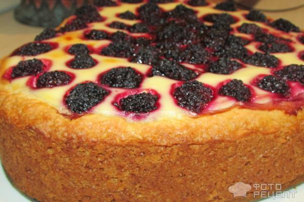 Творожный пирог с ягодами фото