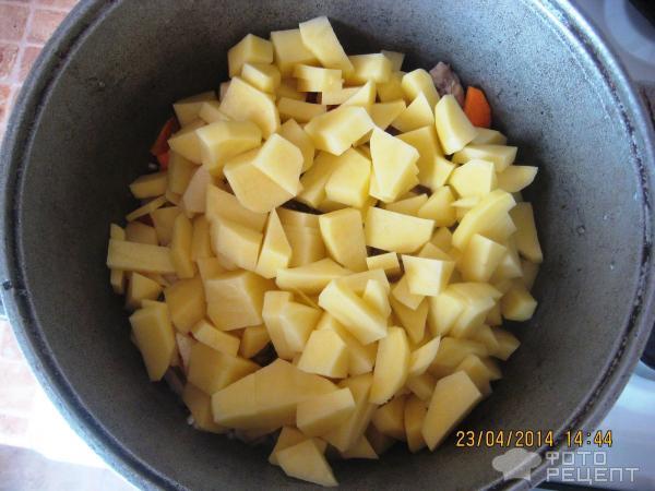 Жаркое из картофеля и курицы фото