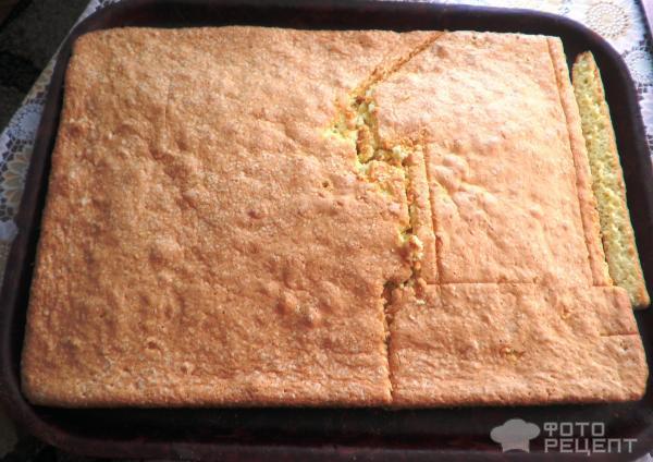 Торт цифра из медовых коржей - рецепт с фото пошагово