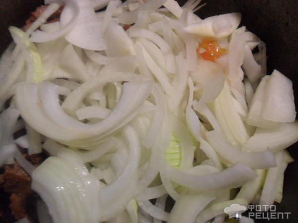 Мясо жареное с луком и чесноком фото