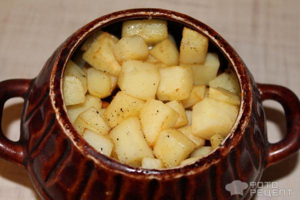 азу по татарски из свинины с солеными огурцами с картошкой в горшочках. Смотреть фото азу по татарски из свинины с солеными огурцами с картошкой в горшочках. Смотреть картинку азу по татарски из свинины с солеными огурцами с картошкой в горшочках. Картинка про азу по татарски из свинины с солеными огурцами с картошкой в горшочках. Фото азу по татарски из свинины с солеными огурцами с картошкой в горшочках