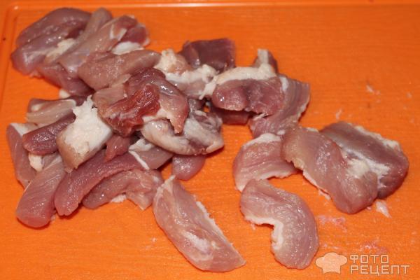 азу по татарски из свинины с солеными огурцами с картошкой в горшочках. Смотреть фото азу по татарски из свинины с солеными огурцами с картошкой в горшочках. Смотреть картинку азу по татарски из свинины с солеными огурцами с картошкой в горшочках. Картинка про азу по татарски из свинины с солеными огурцами с картошкой в горшочках. Фото азу по татарски из свинины с солеными огурцами с картошкой в горшочках
