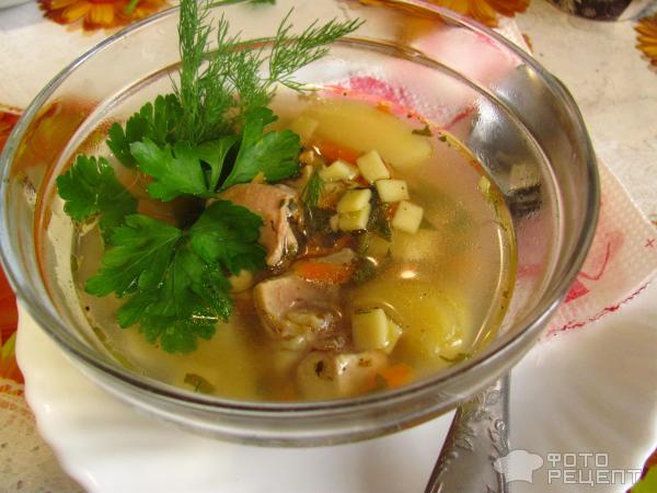 Суп из мяса кролика фото