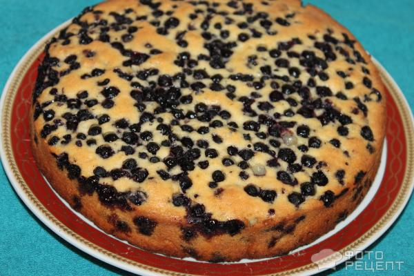Бисквитный пирог с черникой фото