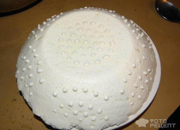 Российский сыр из молока на основе закваски Sacco фото