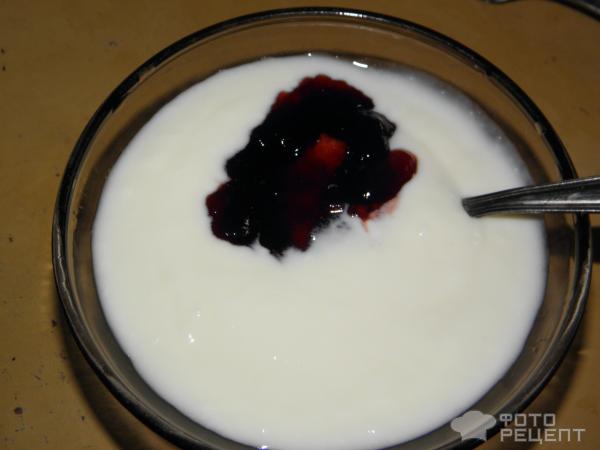 Греческий йогурт на основе закваски Sacco фото