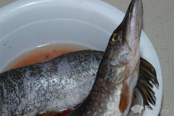 Щука в мультиварке — рецепт рыбы с пошаговыми фото