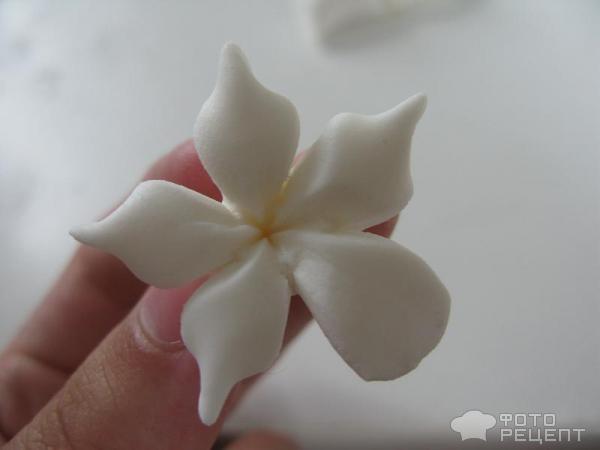 Рецепт: Цветы из мастики | белые простые цветы