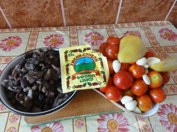 Грибы в томатном соусе Хмели-сунели фото