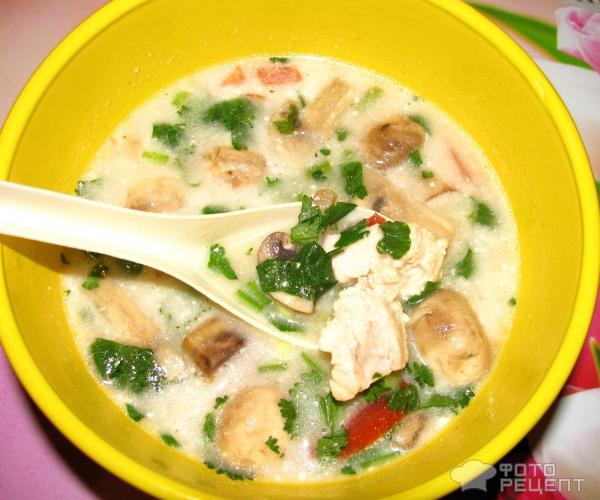 Тайский суп с кокосовым молоком Том кха (Tom Kha) фото