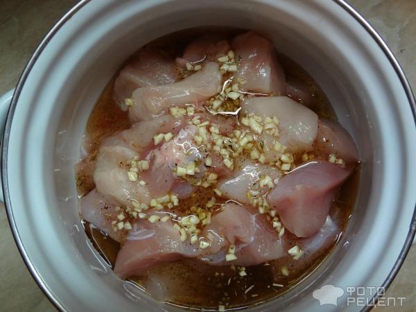 Шашлык из курицы фото