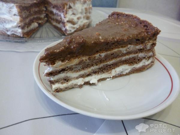 Торт шоколадный фото