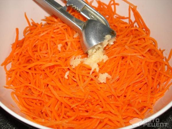 Любимая морковочка фото
