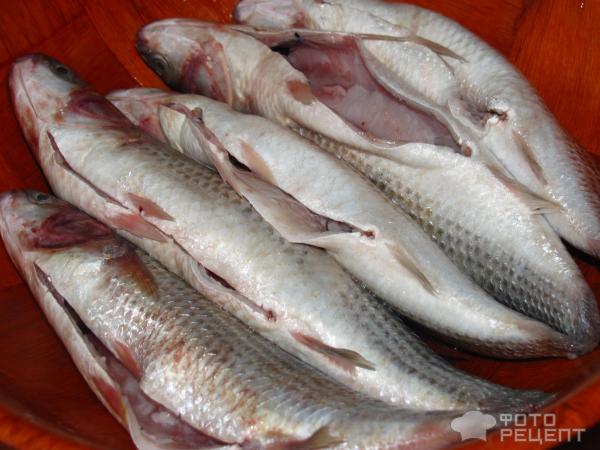 Кефаль Рыба Фото Рецепты