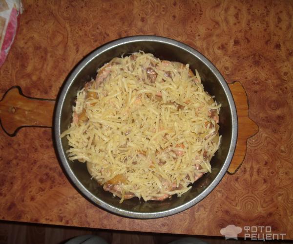 ракушки