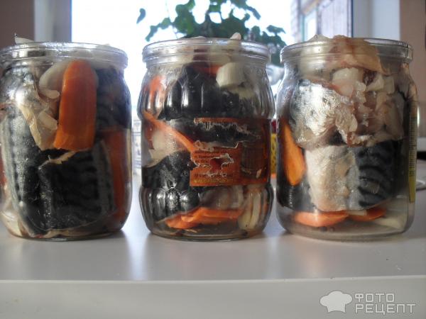 Консерва из скумбрии фото