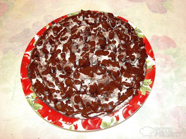 Торт Кусочки счастья с йогуртово-шоколадной начинкой фото