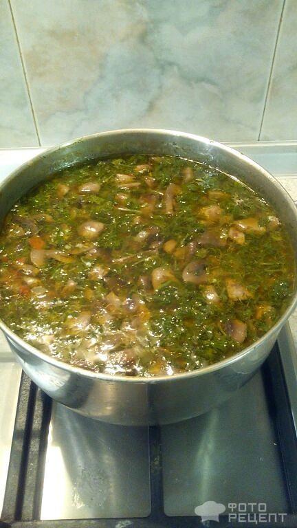 Суп Полевой с овощами и зеленью.