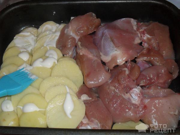Мясо курицы для шашлыка запеченное в духовке фото