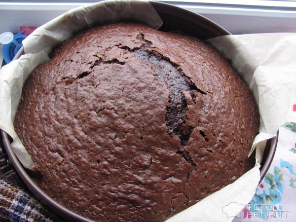шоколадный торт с черникой