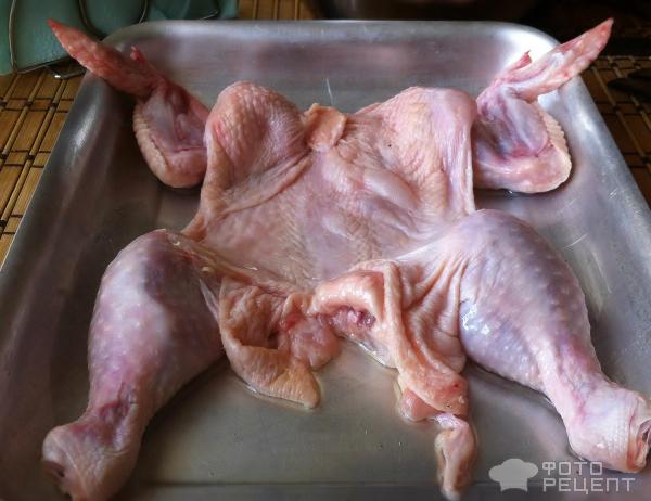 Фаршированный цыпленок фото