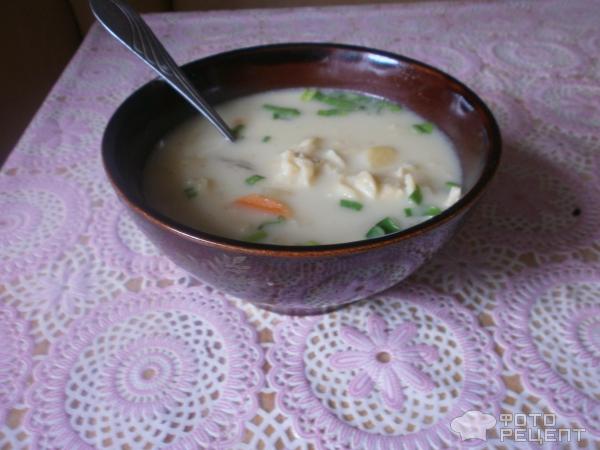 Сырный суп с грибами и домашней лапшой фото