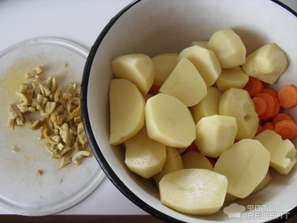 Жаркое с курицей, картофелем и морковью фото