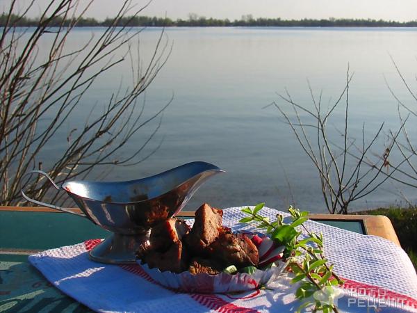 Свиной шашлык с киви фото