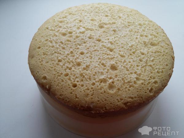 Торт бисквитно-желейный фото