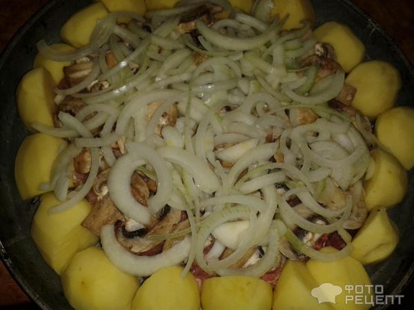 Картофель с мясом по-французски фото