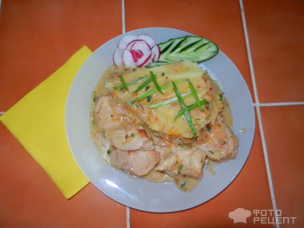 Картофельное пюре с нежной подливой из курицы фото