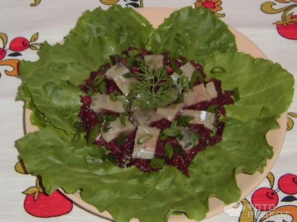 Салат из маринованной свеклы и салаки фото