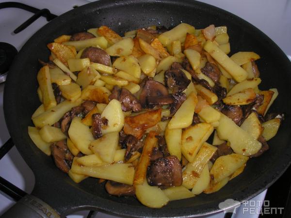 Жаренный картофель с грибами и шкварками фото