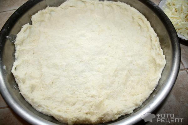 Сырно-луковый пирог фото