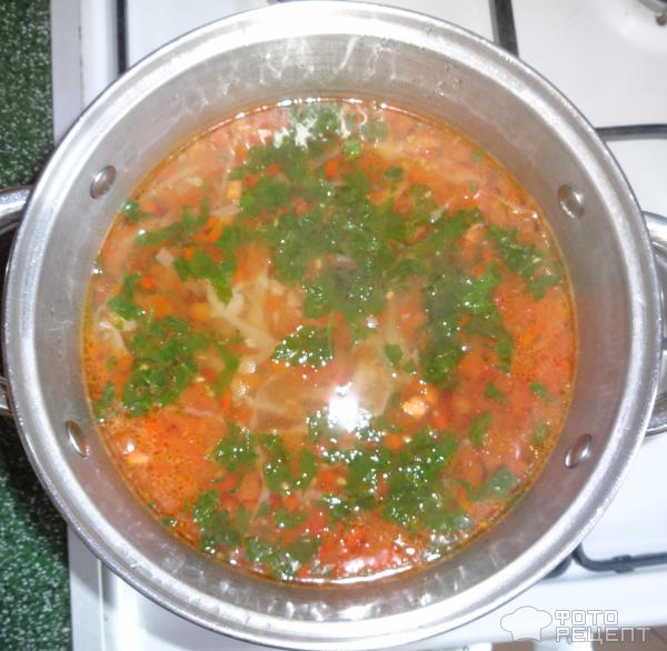 Куриный суп с помидорами фото