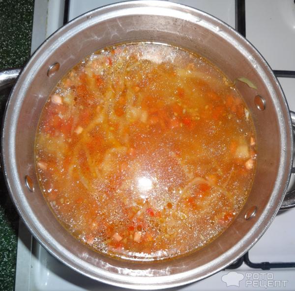 Куриный суп с помидорами фото