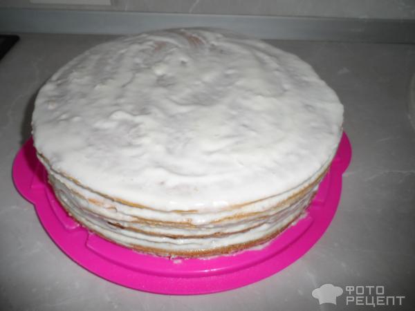 Торт Медовик с желатином фото