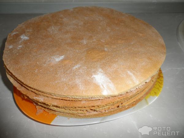 Торт Медовик с желатином фото