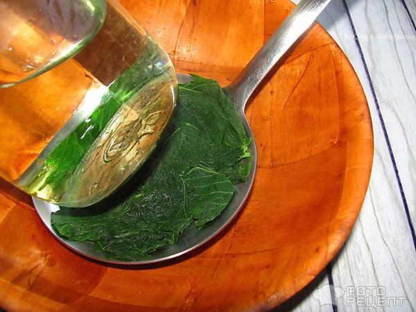 Зеленое масло из крапивы фото