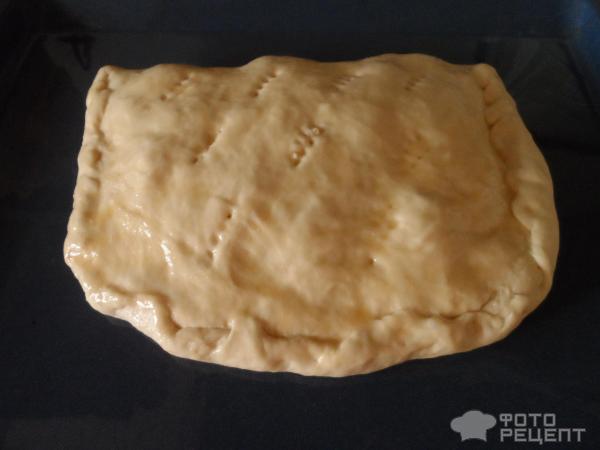 Пицца кальцоне из готового дрожжевого теста фото