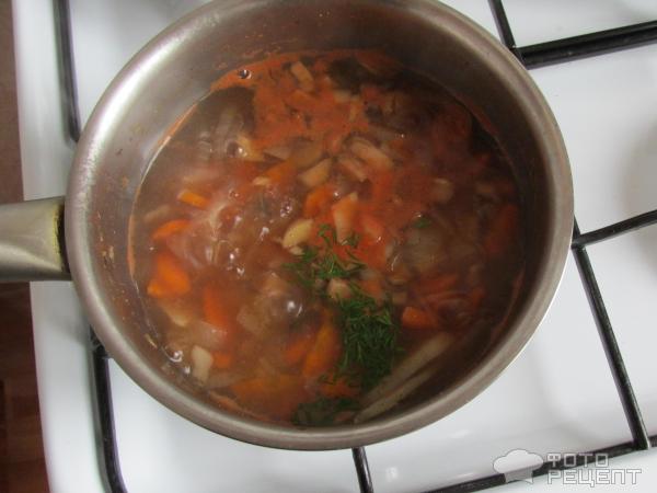 Овощной суп с грибами фото