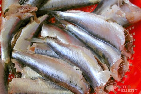 Сардины, запеченные в духовке — рецепт с фото пошагово