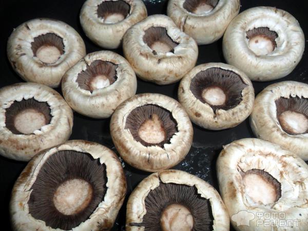 Фаршированные шляпки грибов фото